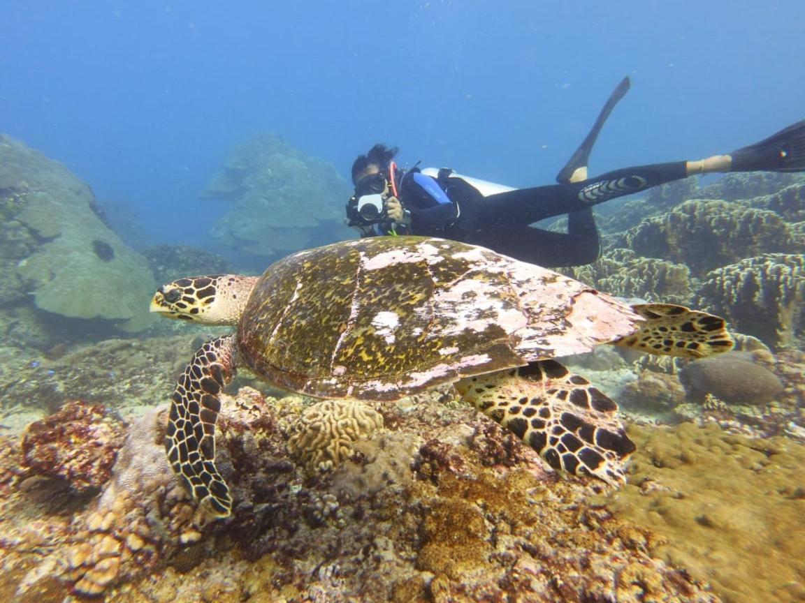 The Sagara Penida Nusa Penida Eksteriør bilde