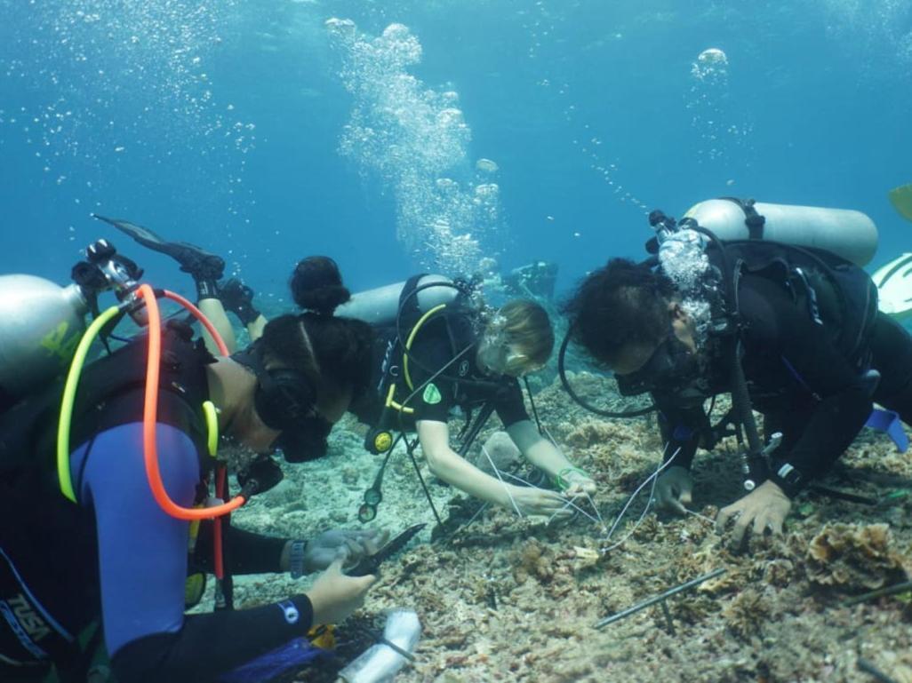 The Sagara Penida Nusa Penida Rom bilde